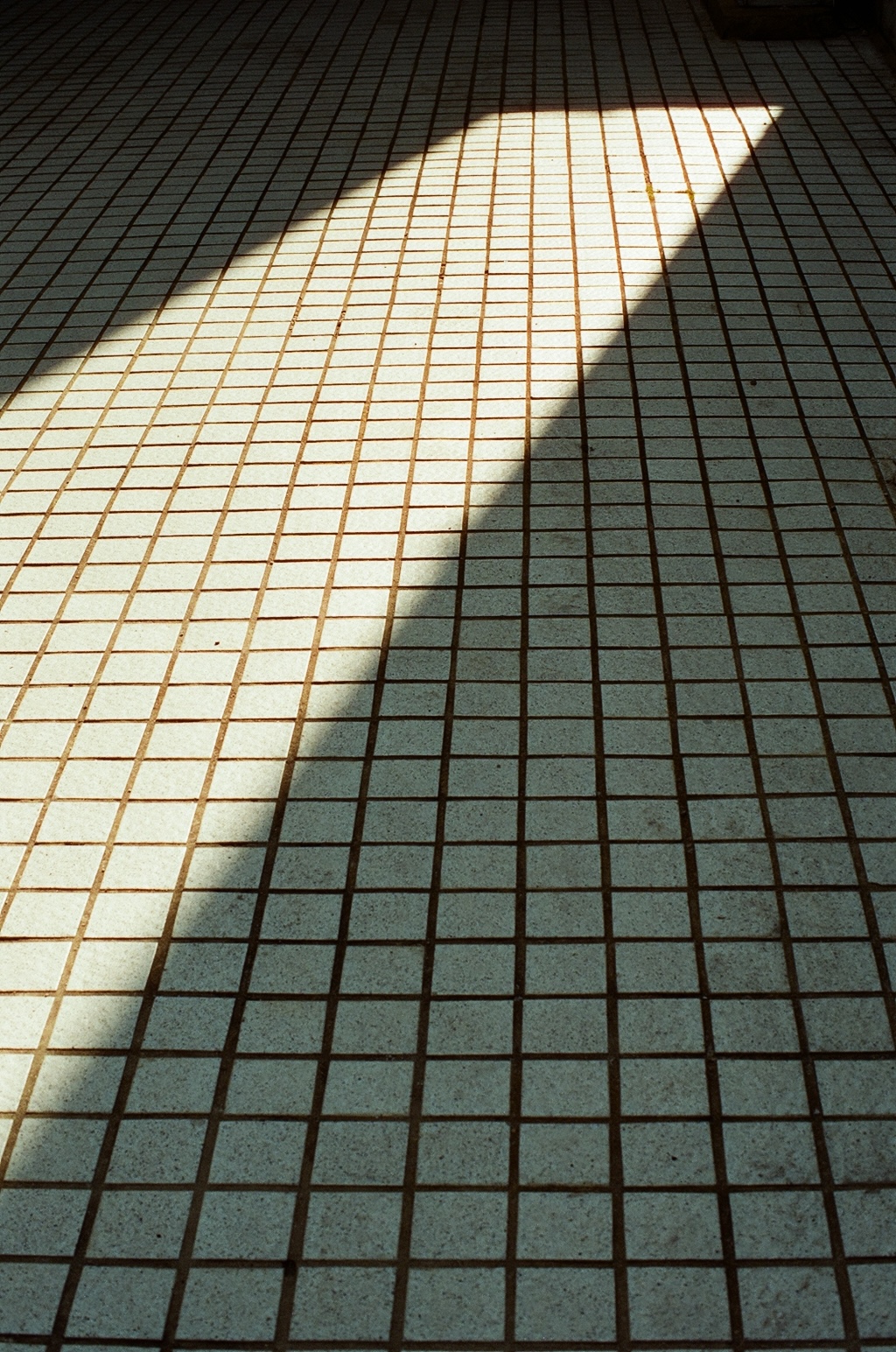 1779785944-16655400