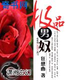 极品男奴