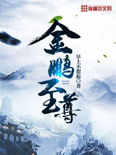 金鹏至尊