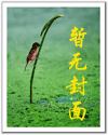 养个人鱼做小妾