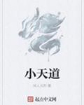 小天道