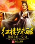 红楼梦未醒