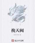 挽天阙