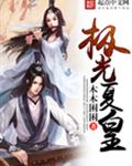 极光夏皇