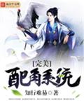 完美配角系统