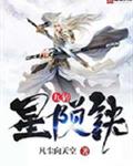 九转星陨诀