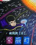 紫薇幻I
