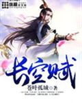 长空赋