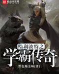 哈利波特之学霸传奇