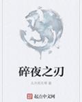 碎夜之刃