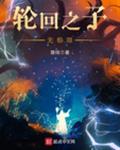 轮回之子无极限