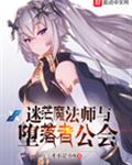 迷茫魔法师与堕落者公会