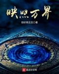 映照万界