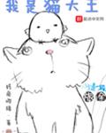 我是猫大王