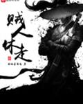 贼人休走